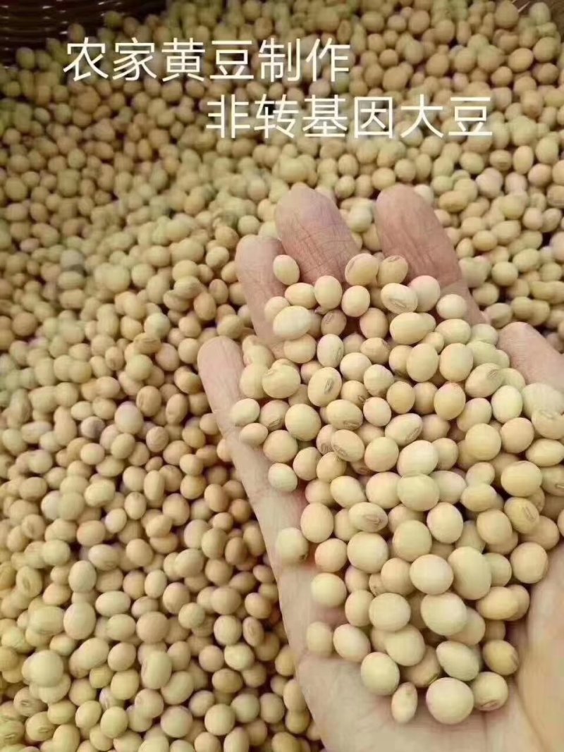 客家作坊山泉水黄腐竹，头竹，无添加，健康营养，只做回头客