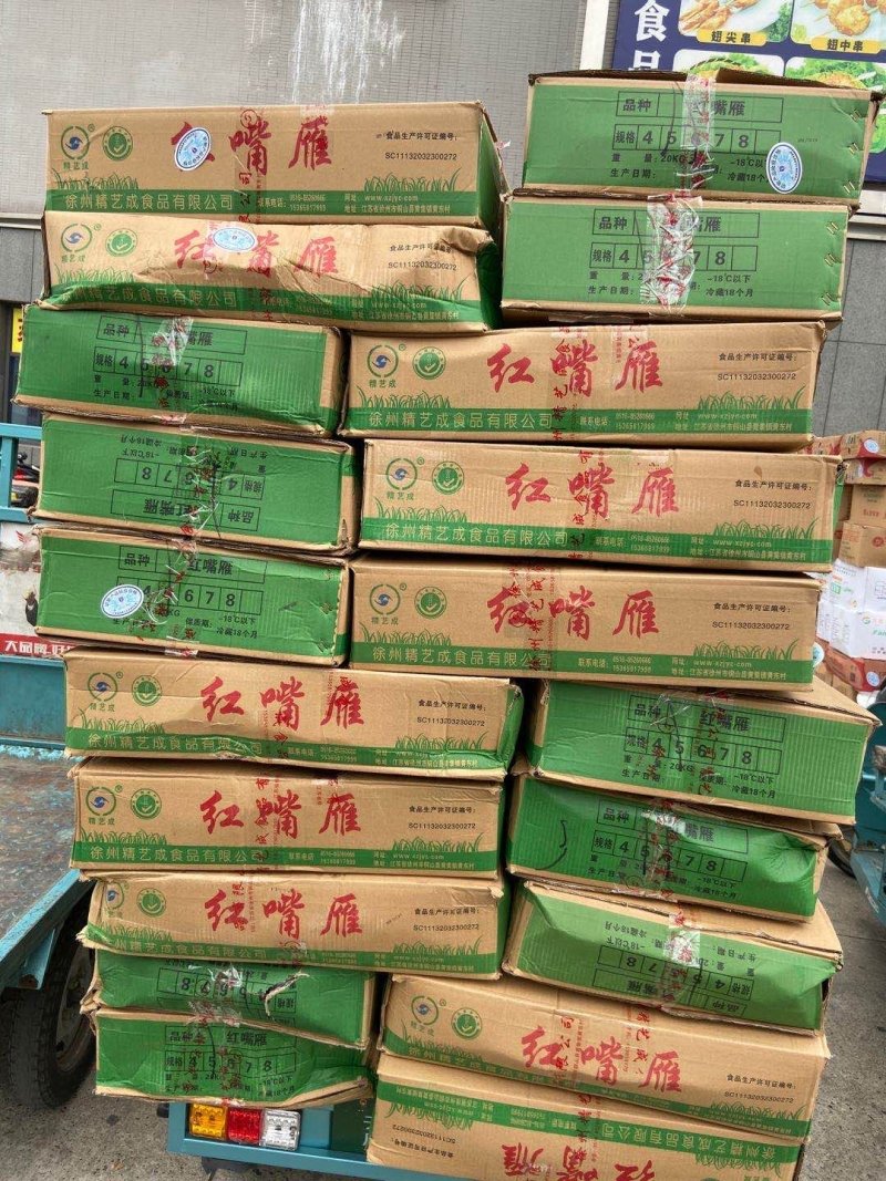 冷冻红头鸭老番鸭红嘴雁非洲雁，老藤子