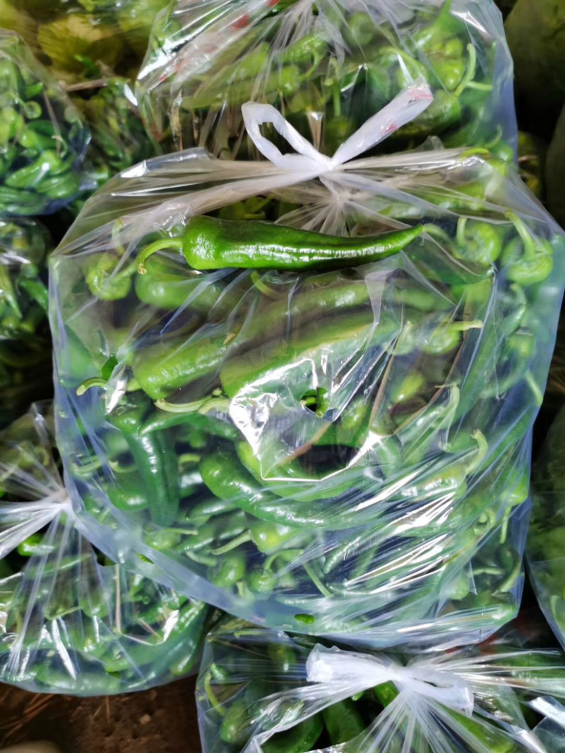 精品螺丝椒产地直销大量供应