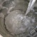50°纯粮酒，米酒