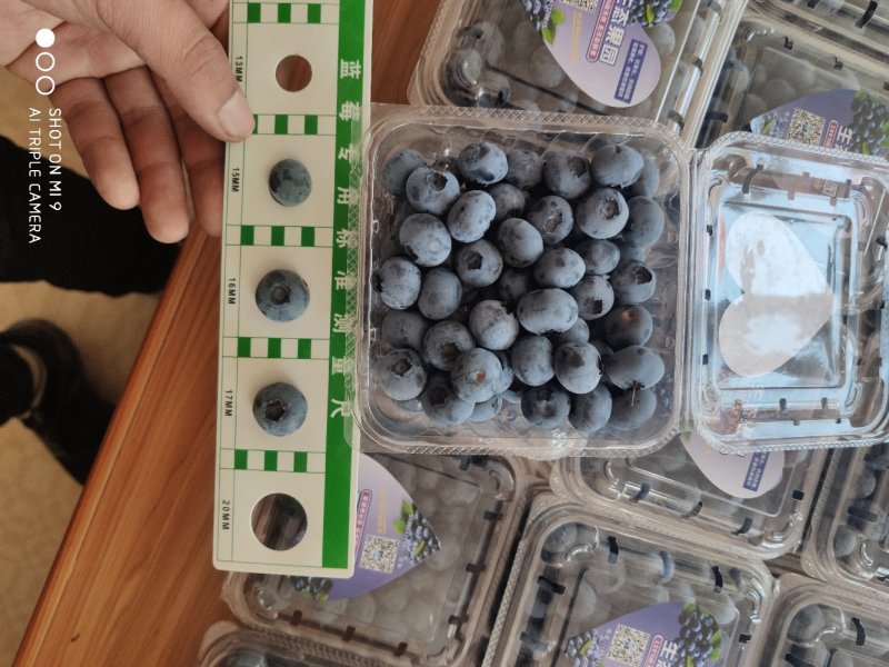 产地直供高品质稳定货源欢迎咨询