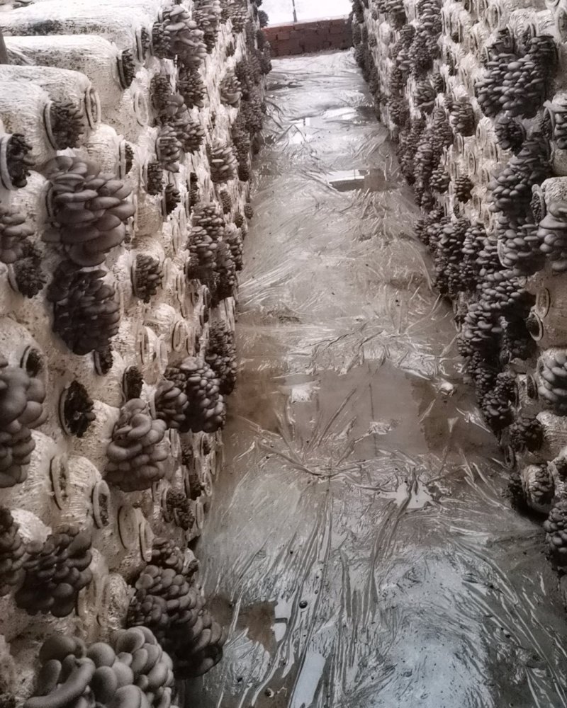 大量小头潮上市
