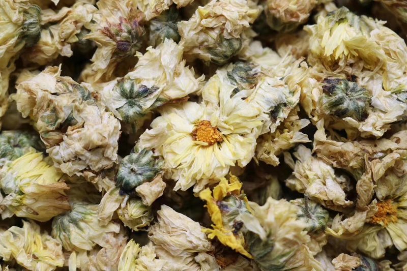 精选北京朵菊花花茶口感清甜淡雅上班族必备批发代发