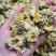 精选北京朵菊花花茶口感清甜淡雅上班族必备批发代发