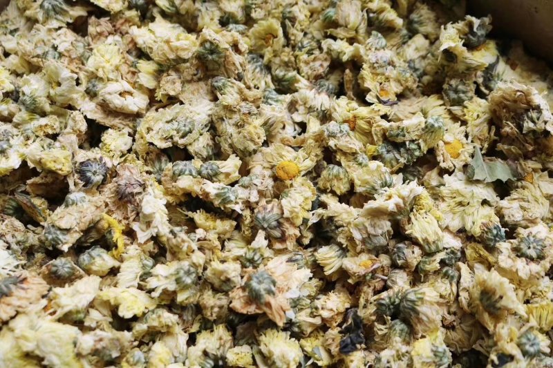 精选北京朵菊花花茶口感清甜淡雅上班族必备批发代发