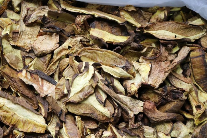 特级白葱牛肝菌干净香味浓野生货批发一件代发
