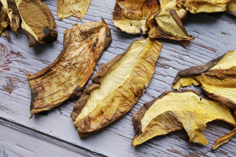 特级白葱牛肝菌干净香味浓野生货批发一件代发