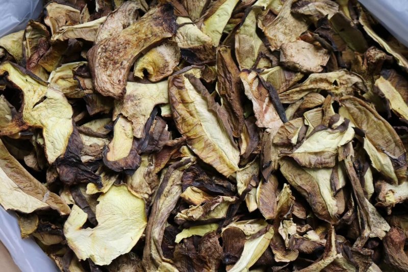 特级白葱牛肝菌干净香味浓野生货批发一件代发