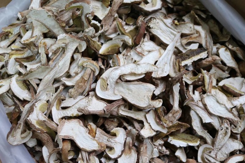 特级美味牛肝菌干净没有虫香味浓郁批发一件代发