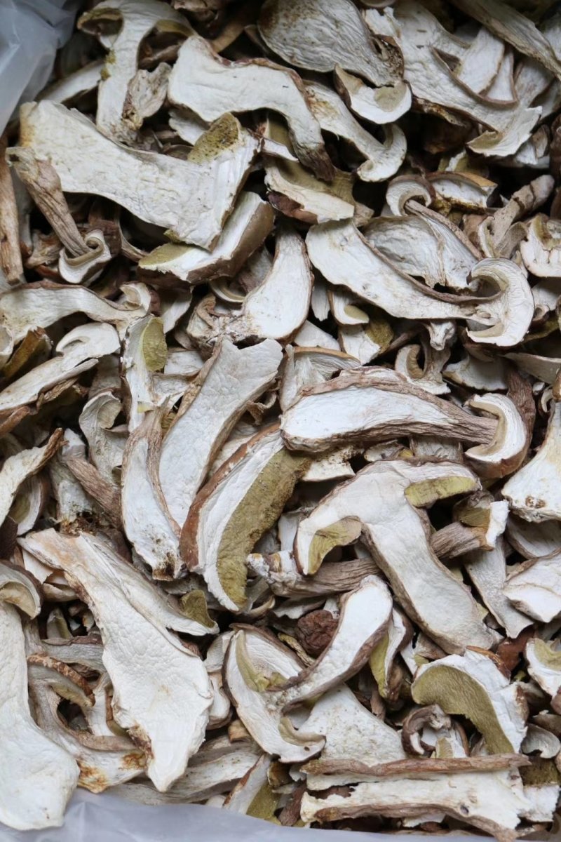 特级美味牛肝菌干净没有虫香味浓郁批发一件代发