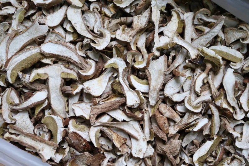 特级美味牛肝菌干净没有虫香味浓郁批发一件代发