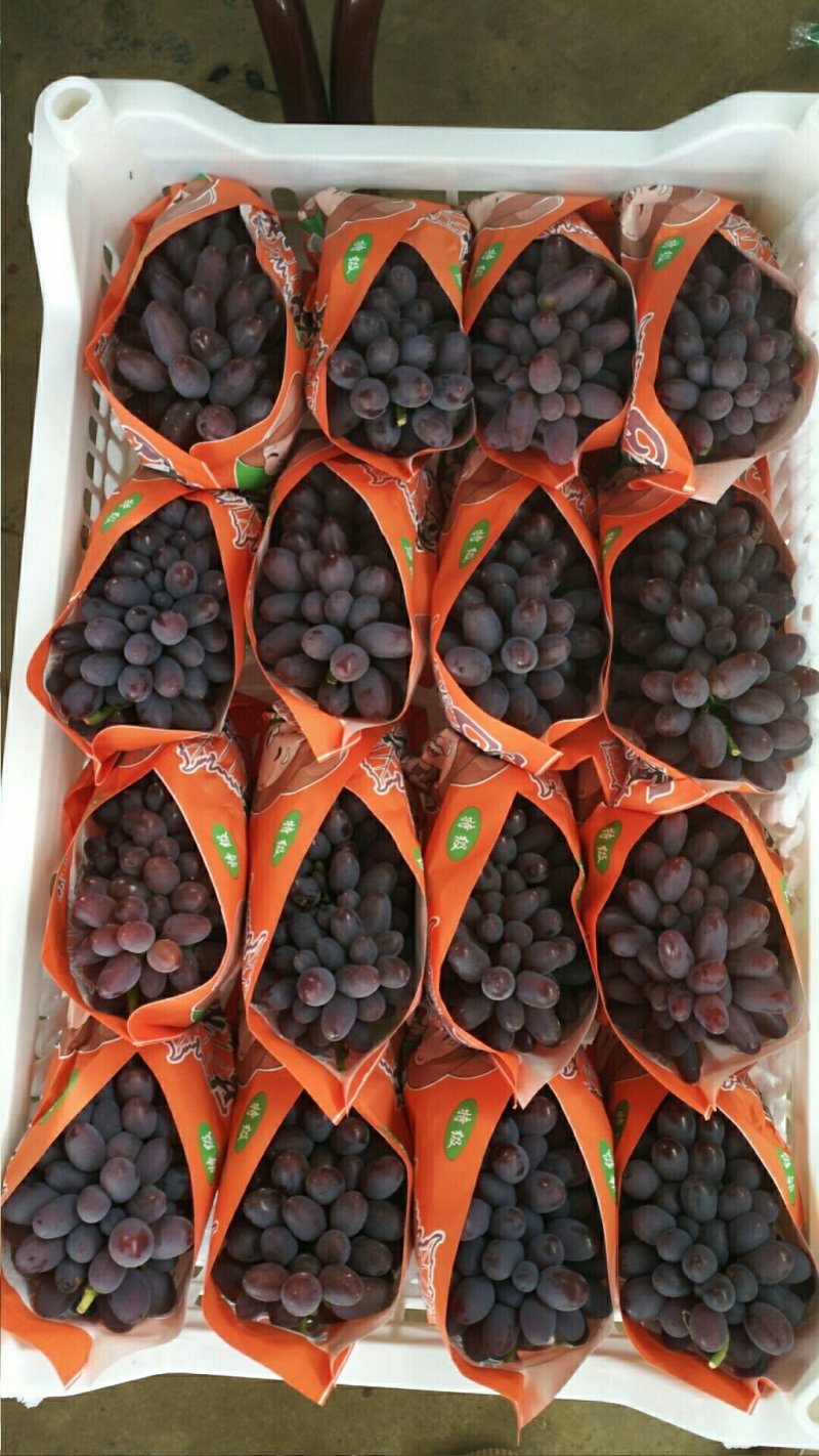 各种水果代办