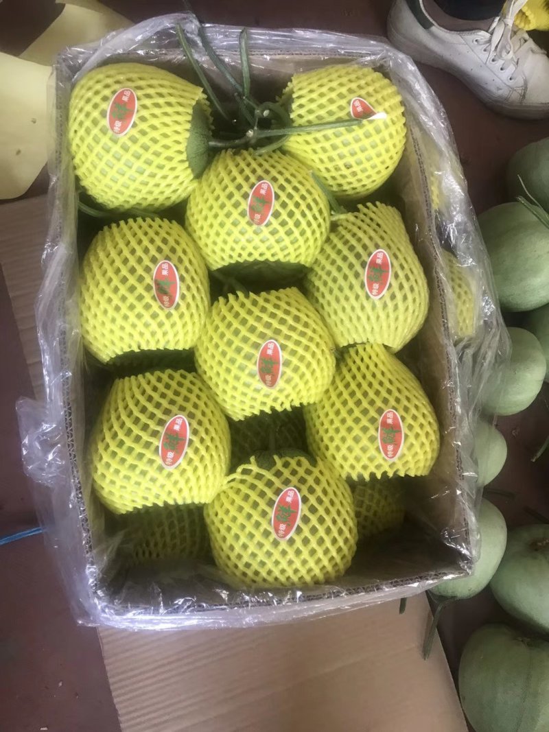 羊角蜜大量上市欢迎订购