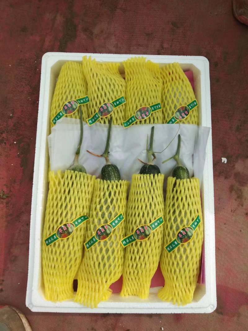 羊角蜜大量上市欢迎订购