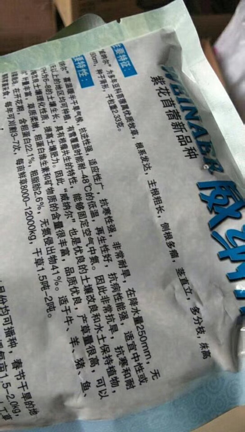 威纳尔原包装进紫花苜蓿种子多年生优质牧草种子适口性好