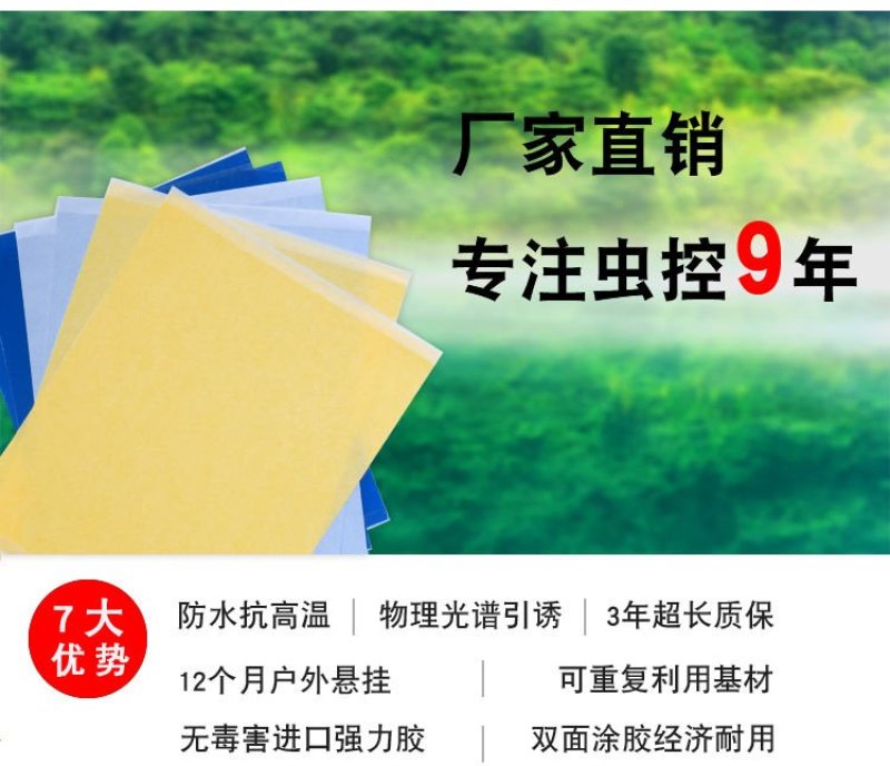 粘虫板诱虫板黄蓝板厂家直销！