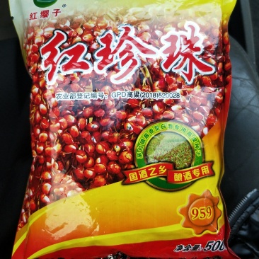 红缨子高粱种