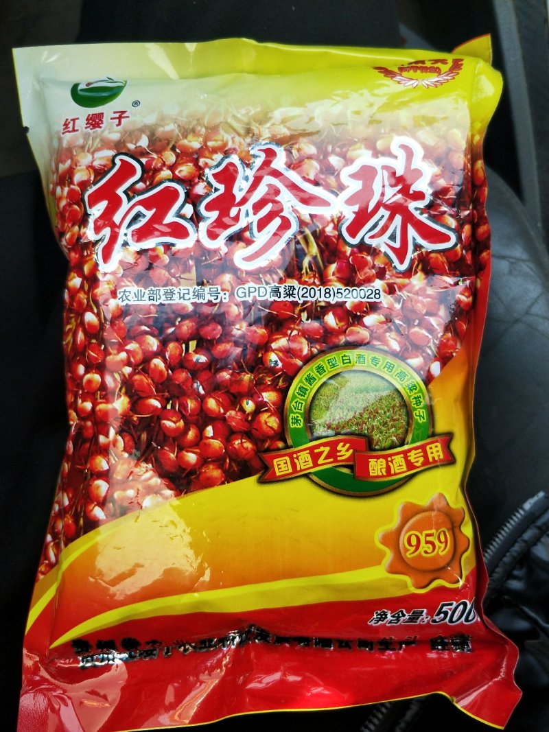 红缨子高粱种