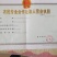 红薯苗