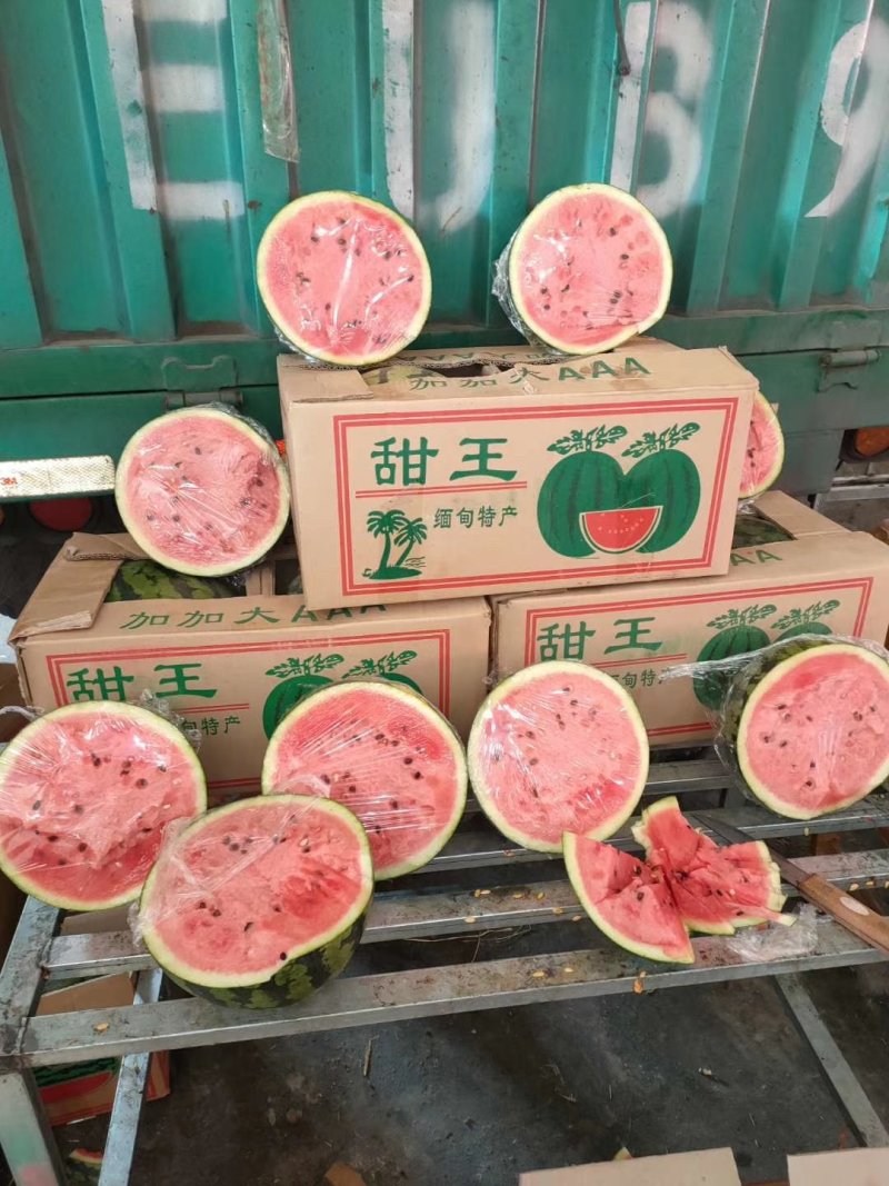 甜王西瓜，包熟包甜，食宿免费，车接车送，产地直销