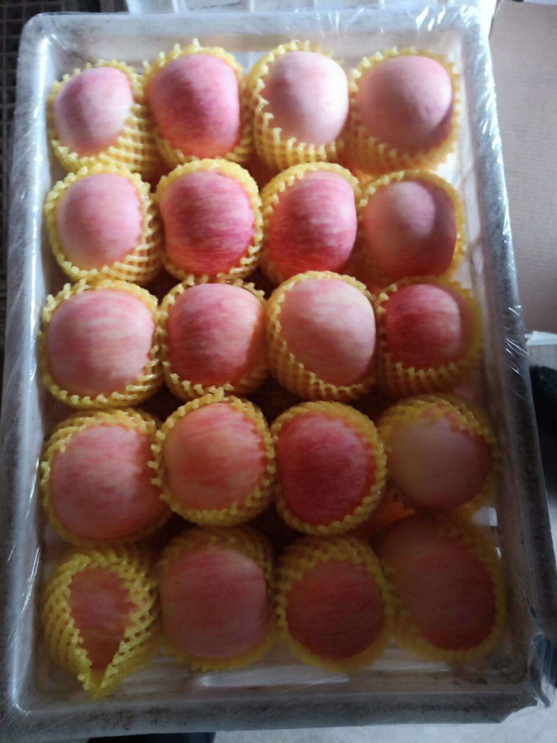 香甜多汁，个大味美的富士苹果