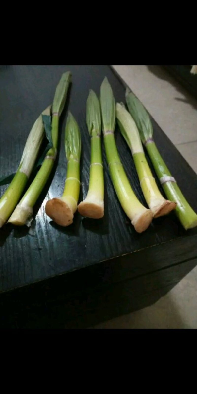 牛尾笋