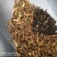 刘寄奴北刘寄奴量大从优常年经营各种中药材