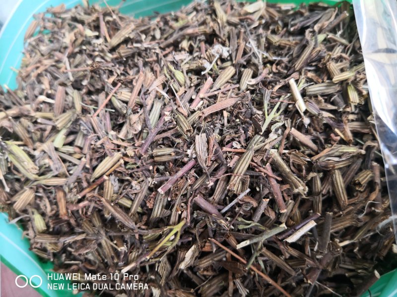 刘寄奴北刘寄奴量大从优常年经营各种中药材