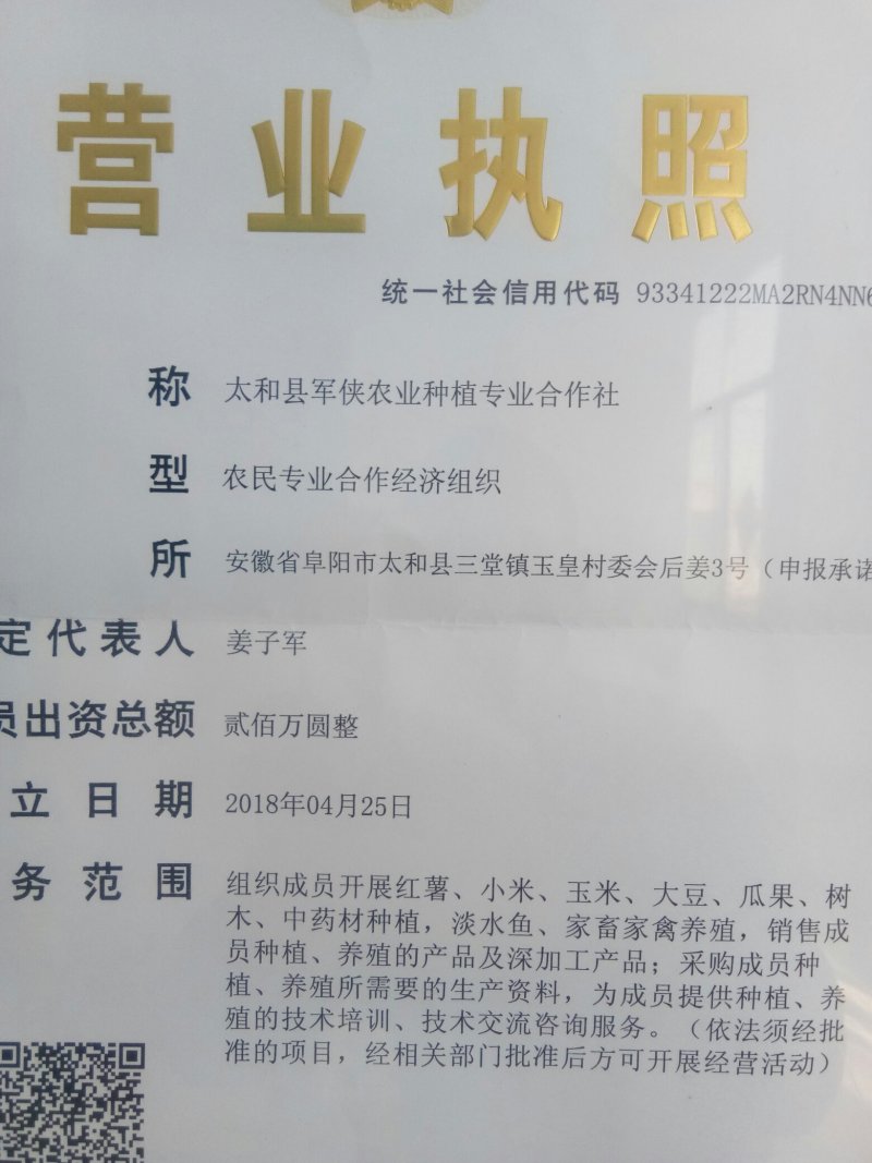 劲道粉条单县粉条商丘粉条宽粉条厂家河南农副食品济宁粉条