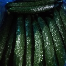 黄瓜