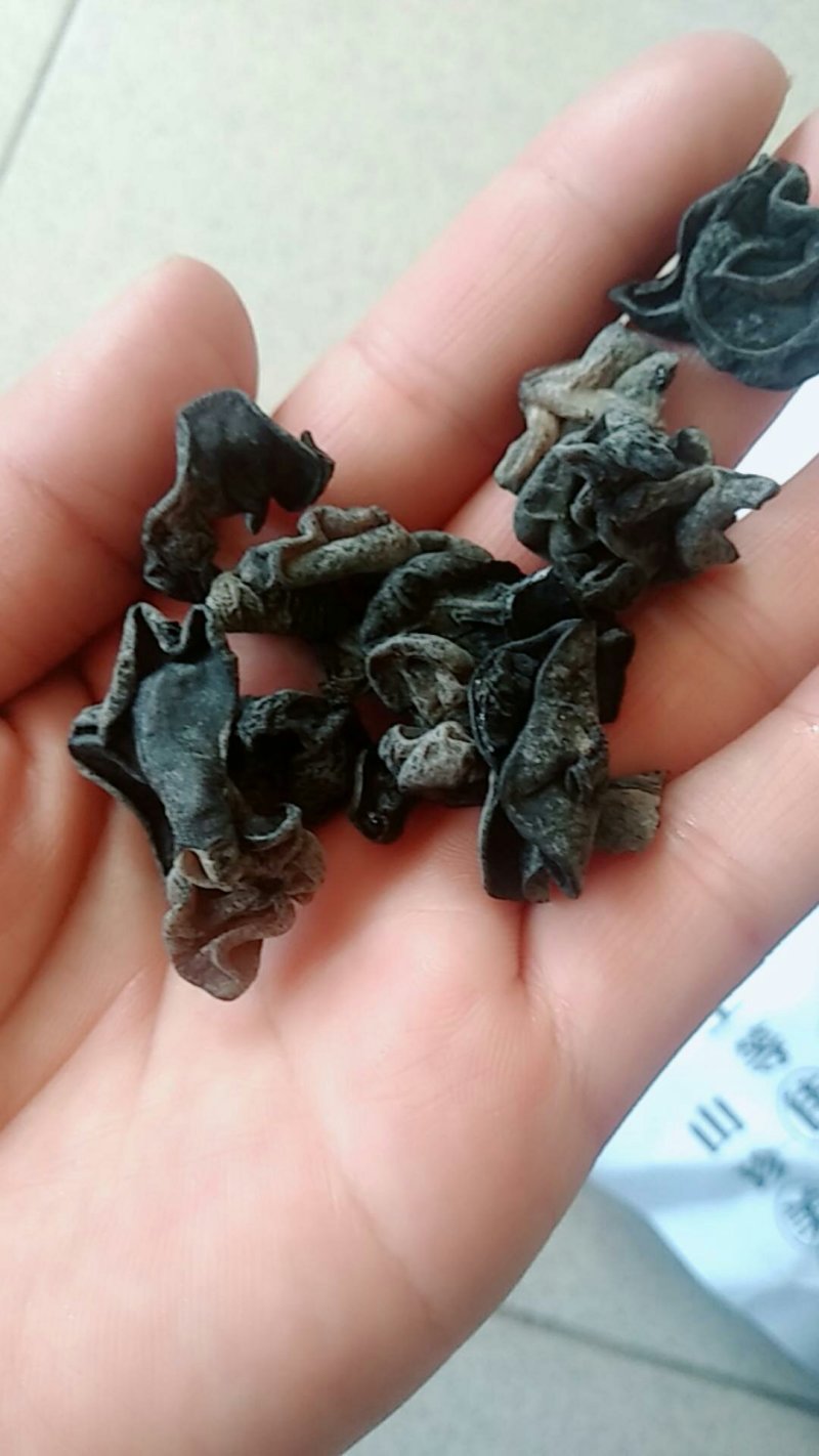 黑木耳秋耳东北黑木耳木耳