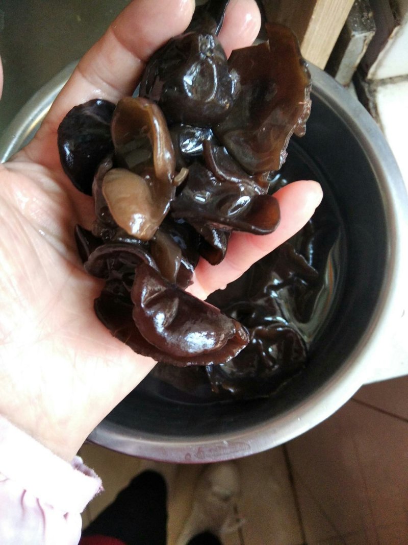 黑木耳秋耳东北黑木耳木耳
