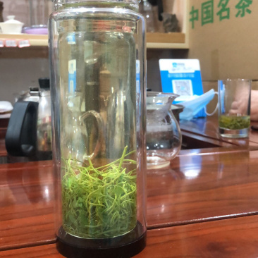 龙须绞股蓝、本地绞股蓝