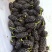 特级桑葚干，无沙无碎粒，产地发货，批发零售，量大价优