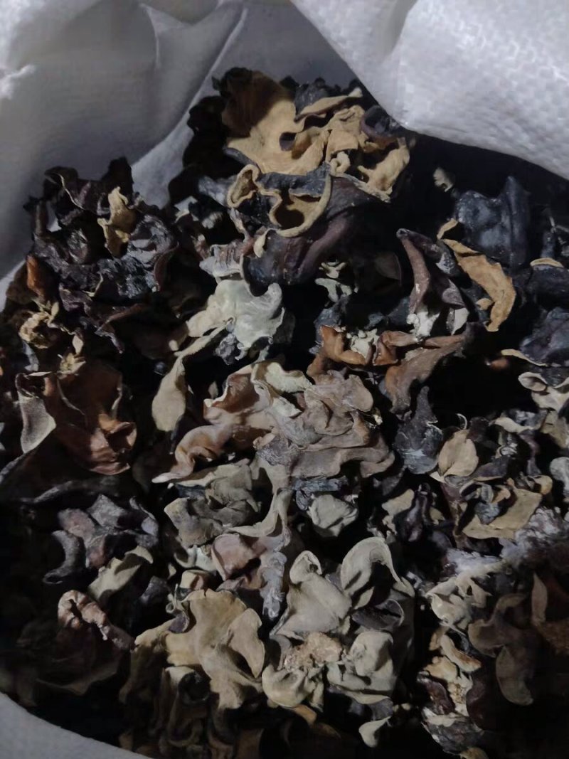毛木耳木耳皮木耳厚木耳农家自种