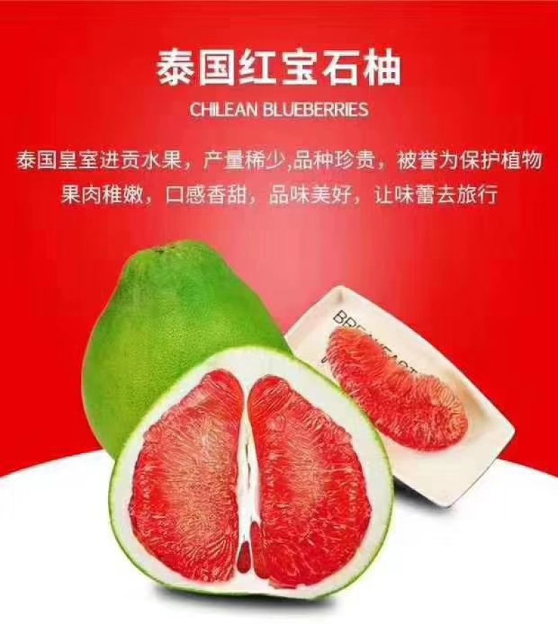 红宝石柚子苗，青皮柚子苗