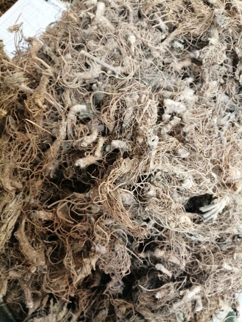 地胆头(根)，地胆草的根头干品，长期有货供应