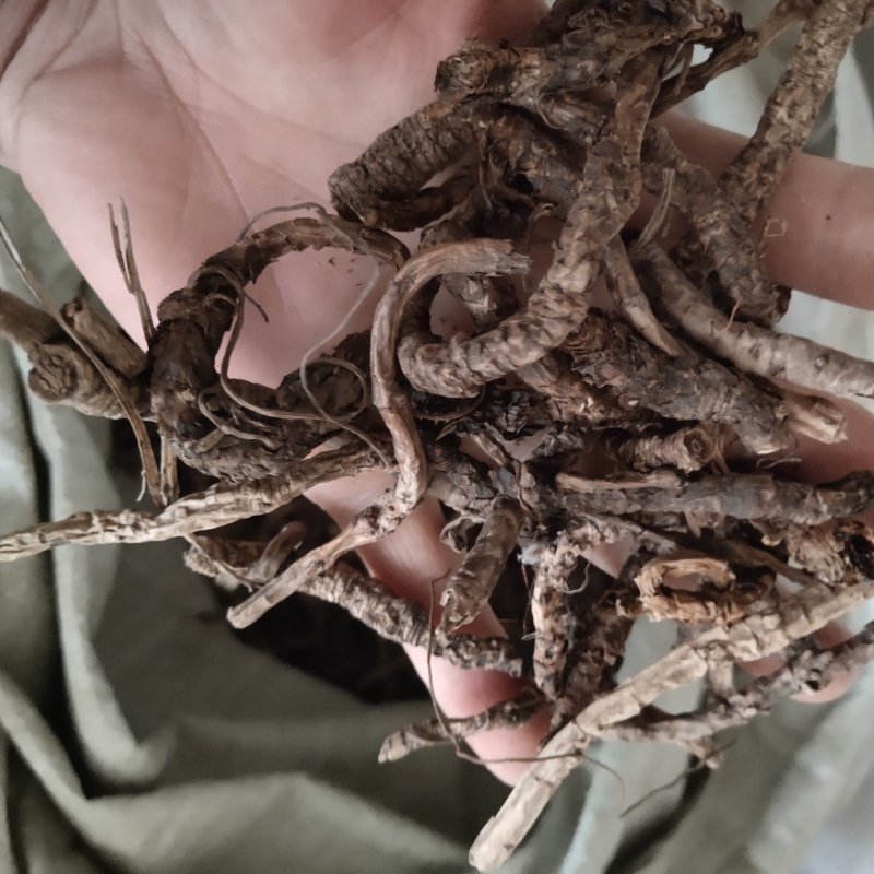 胡黄连新货颜色好关书药业
