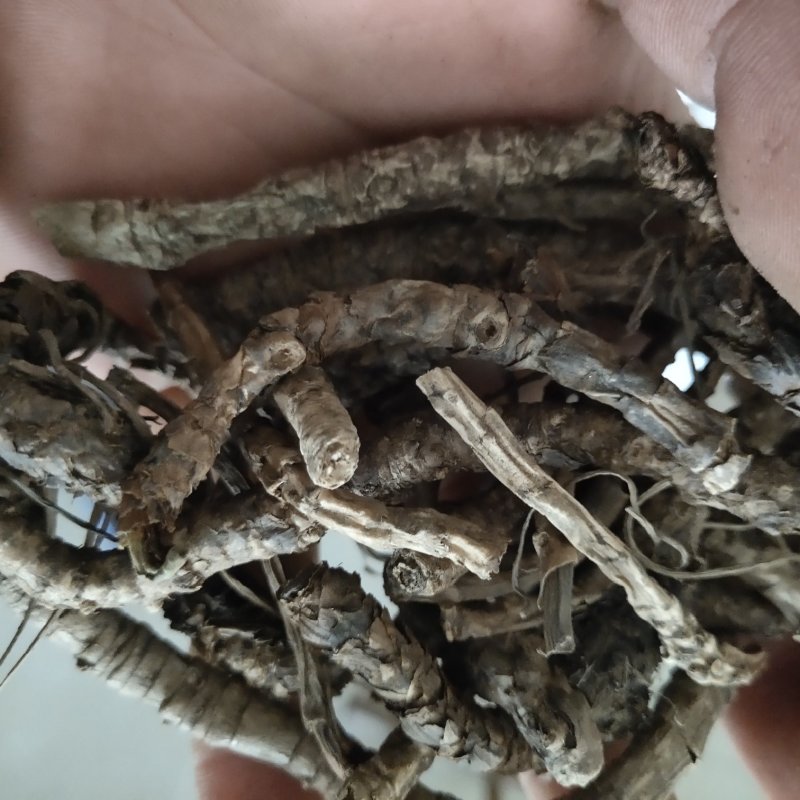 胡黄连新货颜色好关书药业