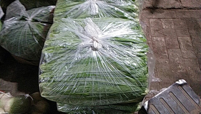 油菜油麦叶生苦菊