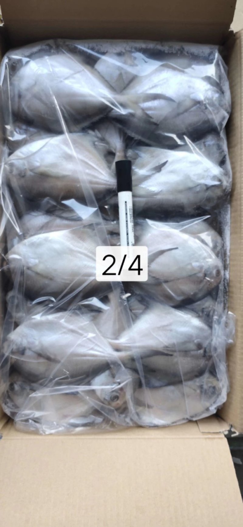 银鲳鱼也叫白鲳，肉质鲜美质量保证放心购。五斤装