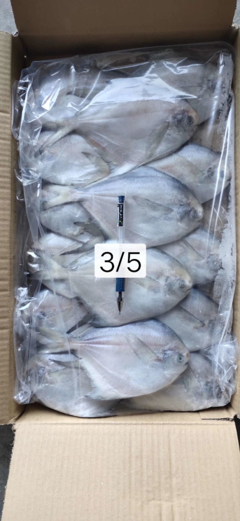 银鲳鱼也叫白鲳，肉质鲜美质量保证放心购。五斤装
