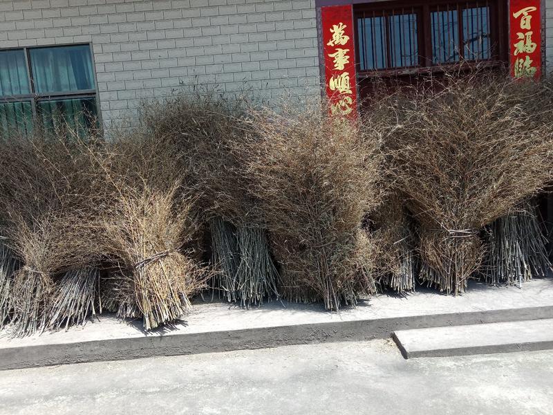 竹扫把大量供应基地常年供应竹扫帚，欢迎订购。
