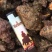 辣螺，天然深海海产，个头大货美，大量供应