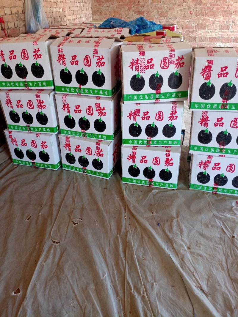 圆茄，圆茄子山东万亩圆茄产地，日走货40万斤电商市场食堂