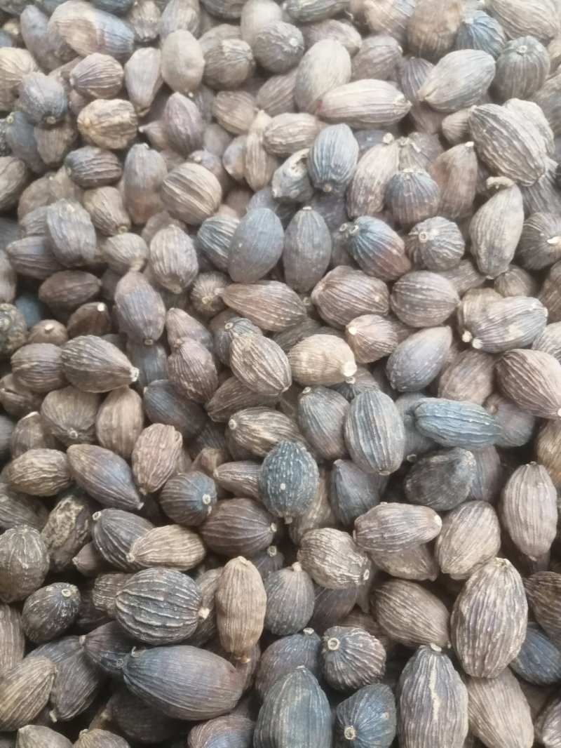 草果