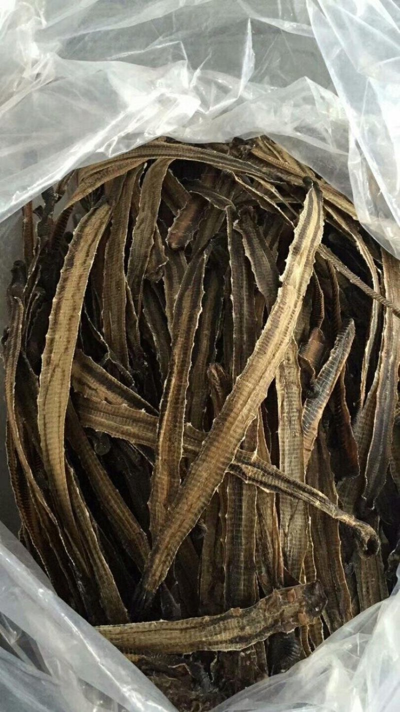 地龙干货，地龙干全开，水洗无泥从头到尾开边，地龙