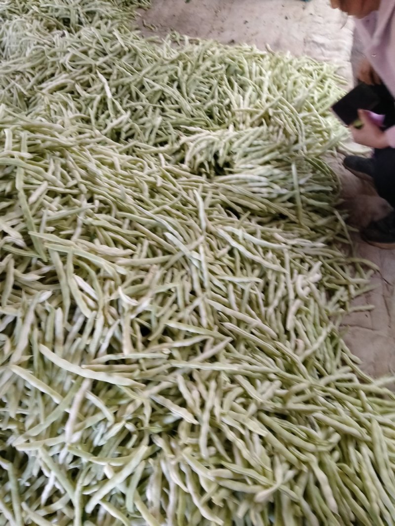 白不老芸豆掉价了