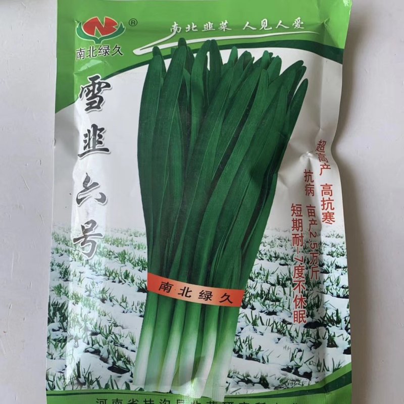 南北绿久韭菜种子韭王子公子寒绿王雪韭六号十韭老汉寒青韭霸