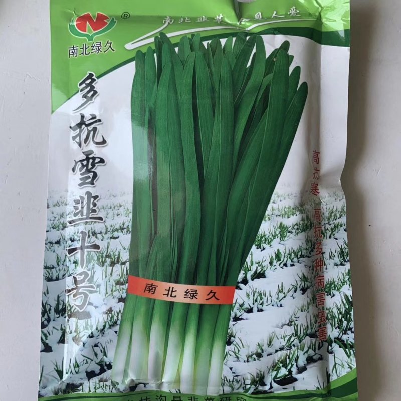 南北绿久韭菜种子韭王子公子寒绿王雪韭六号十韭老汉寒青韭霸